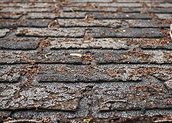 Allied Roofing Images
