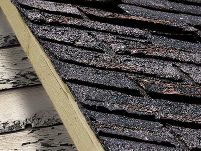 Allied Roofing Images